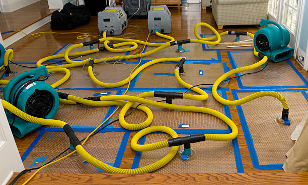 Professional Basement Flood Cleanup technician working in Argyle, MI